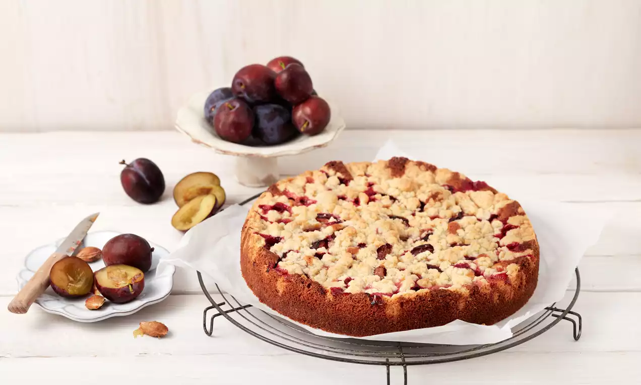 Pflaumenkuchen in Springform mit goldbraunem Rührteig, glänzenden violetten Pflaumenhälften, knusprigen Streuseln und Puderzucker